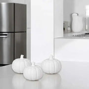 Kleine Kürbisdose – vielseitige Herbstdekoration mit Charme