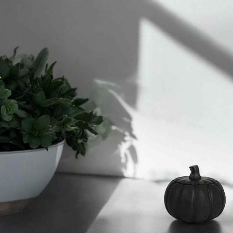 Kleine Kürbisdose – vielseitige Herbstdekoration mit Charme