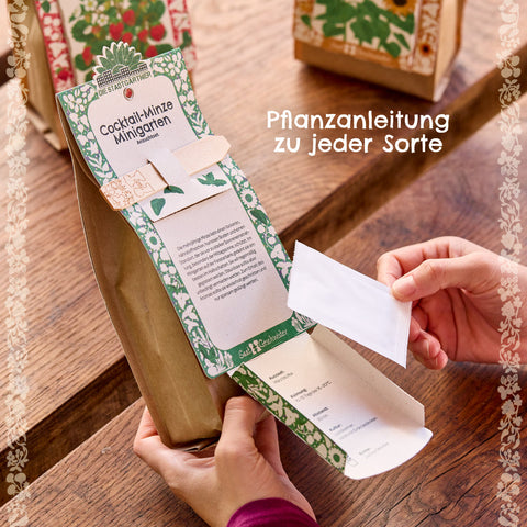 Anzuchtset – Minigarten Stockrose