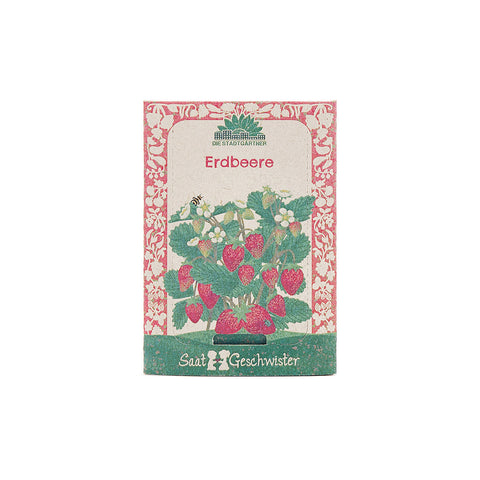 Saatgut Erdbeere