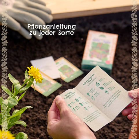 Saatgut-Set "Wildblumen"
