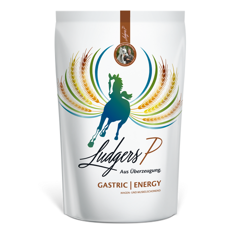 Ludgers  P GASTRIC | ENERGY 20kg