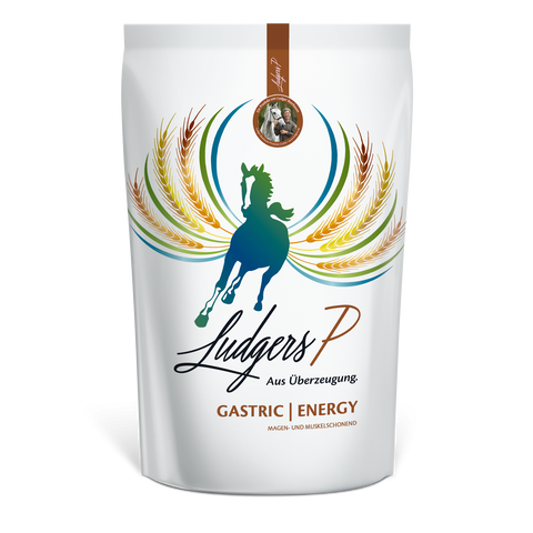 Ludgers P GASTRIC | ENERGY 20kg