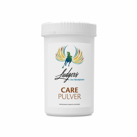 Ludgers P CARE | PULVER