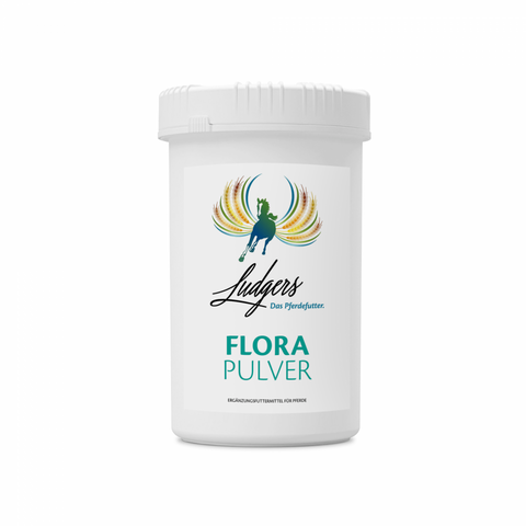 Ludgers P FLORA | PULVER