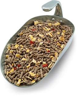 Ludgers P SCIENCE | ENERGY 20kg