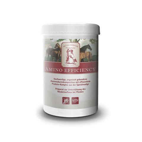 Mühldorfer Amino efficiency 750g