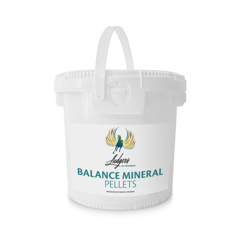 BALANCE MINERAL | PELLETS